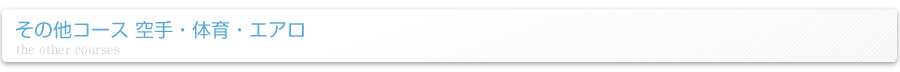その他コース 空手・体育・エアロ