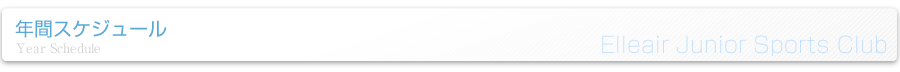 年間スケジュール